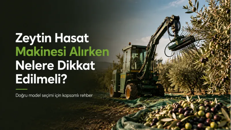 Zeytin Hasat Makinesi Alırken Nelere Dikkat Edilmeli?