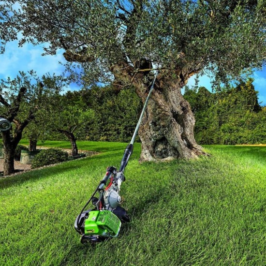 Active M60 3bg 51.7cc 42mm 3.2m 14kg Teleskopik Yandan Askılı Kancalı Dal Sarsıcı Benzinli Zeytin Hasat Makinesi