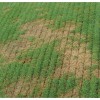 Agrinova AL 371 JU603B2 RM Çim Havalandırma için Çim Toplama Sepeti
