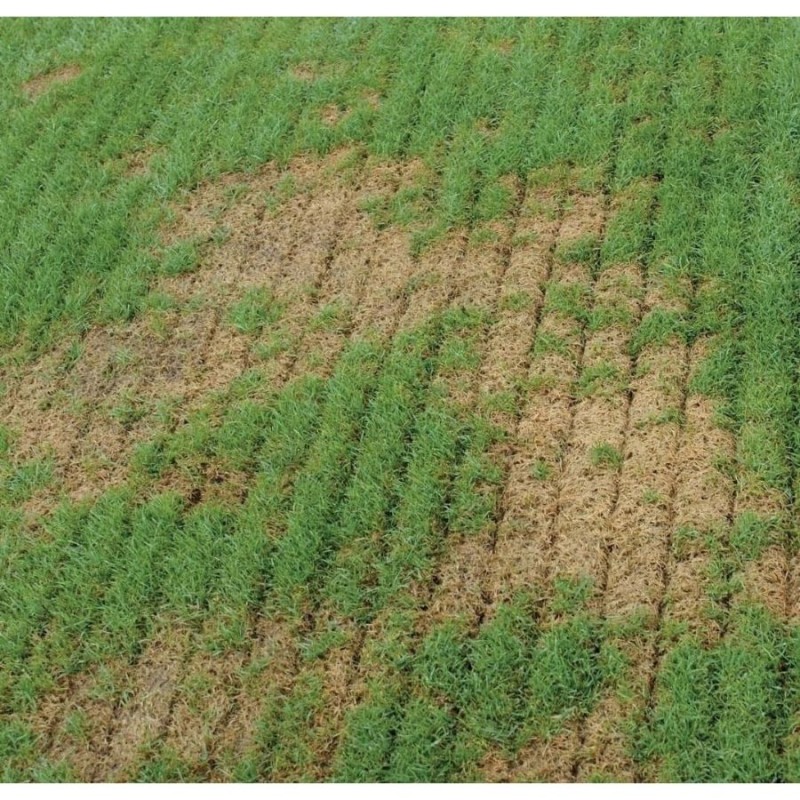 Agrinova AL 371 JU603B2 RM Çim Havalandırma için Çim Toplama Sepeti