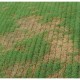 Agrinova AL 371 JU603B2 RM Çim Havalandırma için Çim Toplama Sepeti