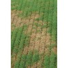 Agrinova JU 949 10hp Benzinli Çim Havalandırma Makinesi