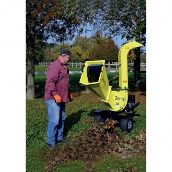 Agrinova ZE400 BRIGGS STRATTON Benzinli Dal Öğütme Makinesi