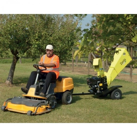 Agrinova ZE400 BRIGGS STRATTON Benzinli Dal Öğütme Makinesi