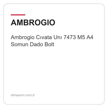 Ambrogio Cıvata Unı 7473 M5 A4 Somun Dado Bolt Ambrogio Cıvata Unı 7473 M5 A4 Somun Dado Bolt