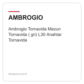 Ambrogio Tornavida Mezun Tornavida ( gri) L30 Anahtar Tornavida