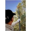 Bahco BCL52TP 36V 2.96m 2.25kg Taraklı Çırpıcı Akülü Zeytin Hasat Makinesi