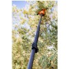 Bahco BCL52TP 36V 2.96m 2.25kg Taraklı Çırpıcı Akülü Zeytin Hasat Makinesi