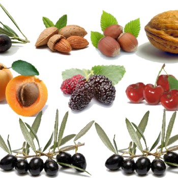 Baseh SHAK051 Palmera Bolat Dakkın 150/250cm 33mm 5kg Teleskopik Sırt Tipi Kancalı Dal Sarsıcı Benzinli Zeytin Hasat Makinesi Şaftı