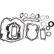 Briggs Stratton 625 Çim Biçme Makinesi Conta Takımı