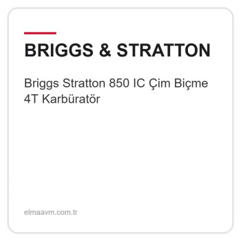 Briggs Stratton 850 IC Çim Biçme 4T Karbüratör Briggs Stratton 850 IC Çim Biçme 4T Karbüratör