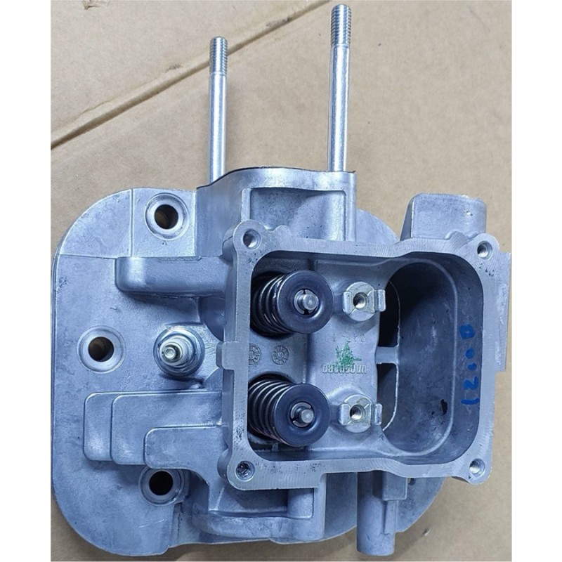Briggs Stratton Vanguard 84010829 Külbütör ve Conta Hariç Komple Silindir Kafası