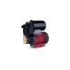 dayuan DGP130B 0.5bg 370W 220V 2ton/sa 1inç Temiz su Elektrikli Hidrofor