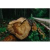 Echo CS 621 SX 4.52bg 3.32kW 59.8cc 50cm 3/8inc 91 36diş 6.2kg Benzinli Testere