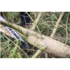 Echo CS 7310 SX 5.6bg 4.1kW 73.5cc 60cm 3/8inc 91 42diş 6.8kg Benzinli Testere