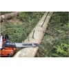 Echo CS 7310 SX 5.6bg 4.1kW 73.5cc 60cm 3/8inc 91 42diş 6.8kg Benzinli Testere