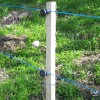 Eminent EC038 100ad Elektrikli Çit Çivi Çakmalı Plastik İzolatör