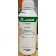 Ferbis Alacarte 1ltx1ad Yayıcı Yapıştırıcı