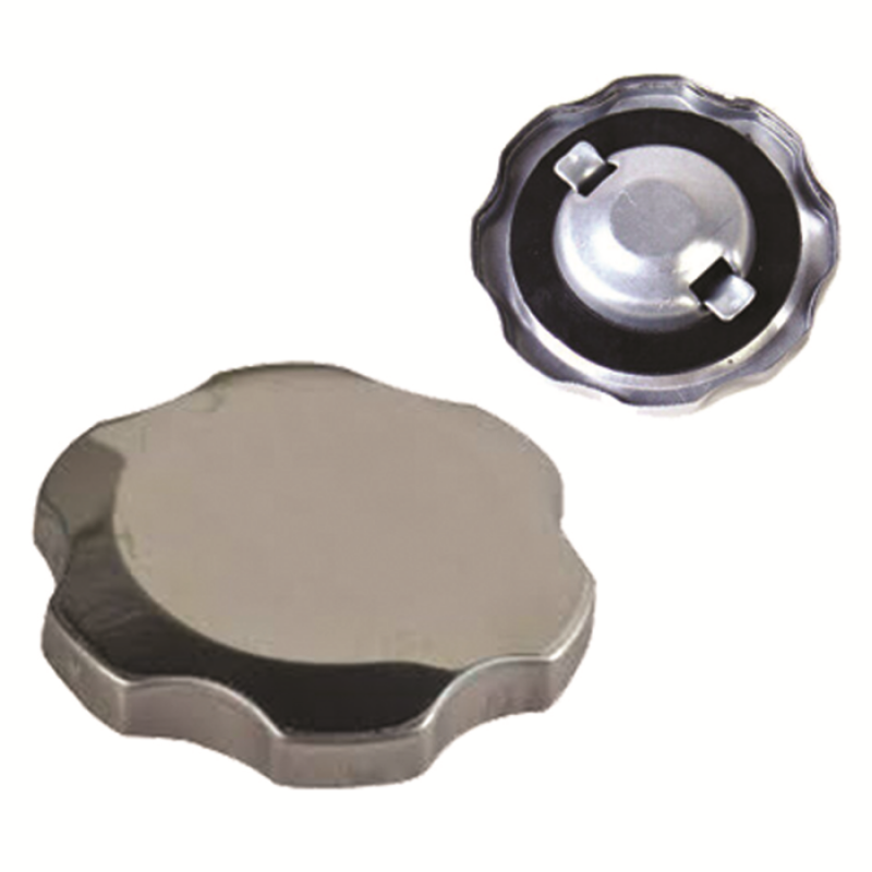 General Power 5.5/6.5bg 4T Dört Zamanlı Motor Benzin Depo Kapağı