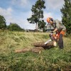 Husqvarna 445 2.1kW 2.8bg 45.7cc 45cm .325inç 1.5mm 0.58inç 36diş 4.9kg Benzinli Testere