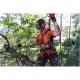 Husqvarna T535i XP Li 36V 5Ah 35cm .325inç 1.1mm 0.43inç 29.5diş 2.4kg Akülü Motorlu Testere