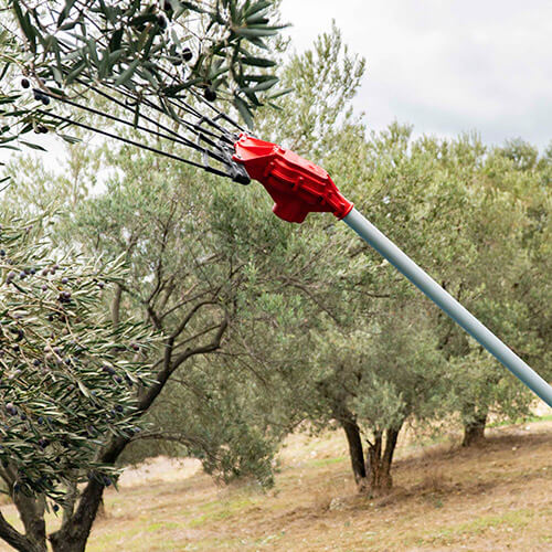 Olivepower Master V2 Kırmızı 33V DC Taraklı Çırpıcı Akülü Zeytin Hasat Makinesi