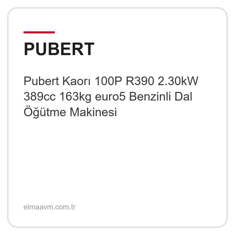 Pubert Kaorı 100P R390 2.30kW 389cc 163kg euro5 Benzinli Dal Öğütme Makinesi