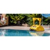 robodeep M1071 GOW 30 145W 24V 6.5Ah 450m² 30mt 1 ile 8sa Havuz Temizleme Robotu