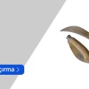 Budama Çakısı
