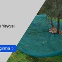 Fındık Toplama Yaygısı-Sergenlik