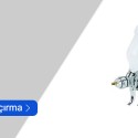 Havalı Boya Tabancası