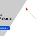 Yüksek Dal Budama Makasları