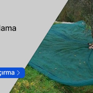 Zeytin Toplama Yaygıları