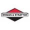 Briggs Stratton