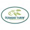Üçbaşak