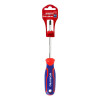 WORKPRO WP221036 PZ1x100mm CR V Manyetik Profesyonel Yıldız Tornavida