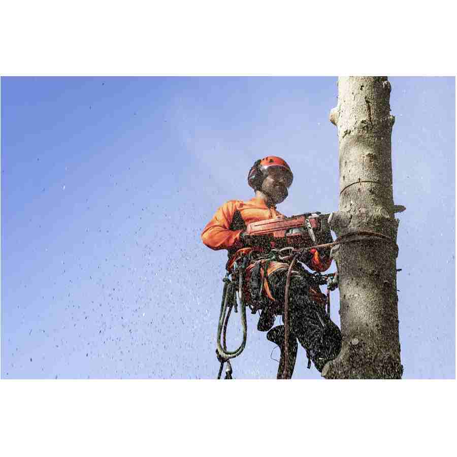 Husqvarna 550XP MarkII 3kW 50.1cc 46cm .325inç 1.3mm 0.50inç 36diş 5.3kg Benzin Motorlu Testere Husqvarna 550XP MarkII 3kW 50.1cc 46cm .325inç 1.3mm 0.50inç 36diş 5.3kg Benzin Motorlu Testere