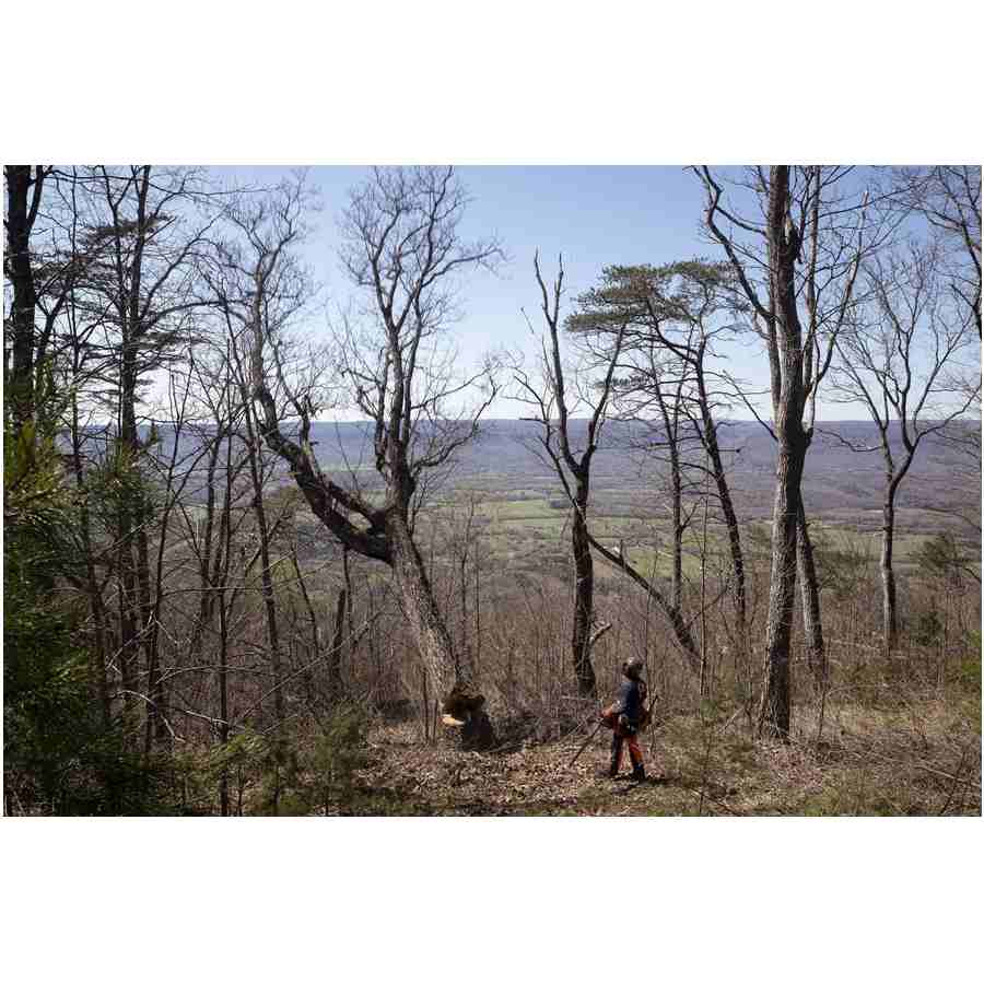 Husqvarna 585 5.1kW 6.84bg 86cc 60cm 3/8inç 1.5mm 0.58inç 42diş 7.5kg Benzin Motorlu Testere